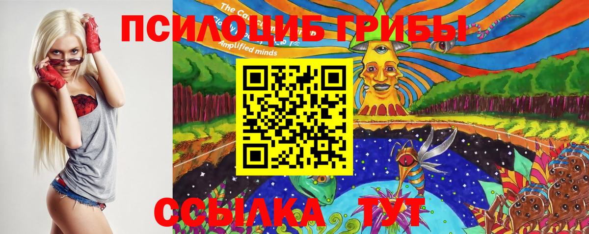 Псилоцибиновые грибы Psilocybine cubensis Орехово-Зуево