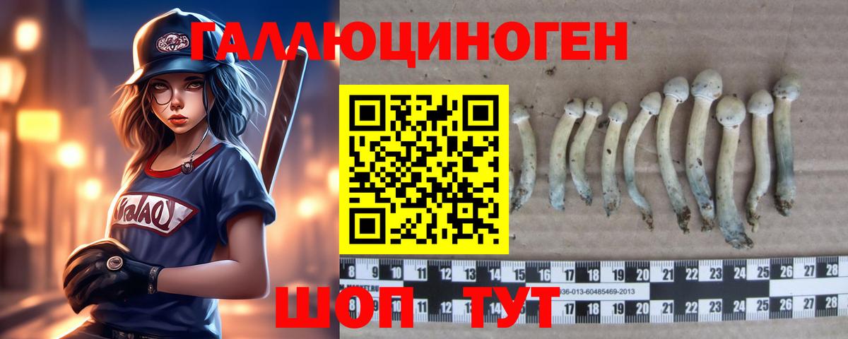 Псилоцибиновые грибы MAGIC MUSHROOMS  Галлюциногенные грибы Psilocybine cubensis  Вход с VPN  Орехово-Зуево 
